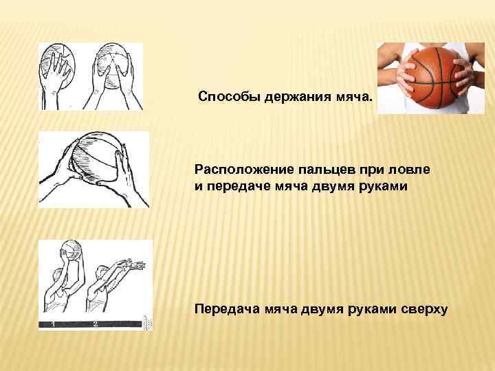 Способы держания мяча. Расположение пальцев при ловле и передаче мяча двумя руками Передача мяча