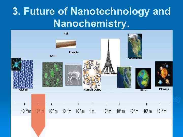 3. Future of Nanotechnology and Nanochemistry. Hair Insects Cell Atoms Continent Human being Earth