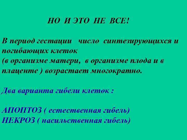 НО И ЭТО НЕ ВСЕ! В период гестации число синтезирующихся и погибающих клеток (в