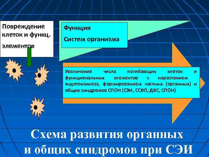 Повреждение клеток и функц. элементов Функция Систем организма Увеличение числа погибающих клеток и функциональных