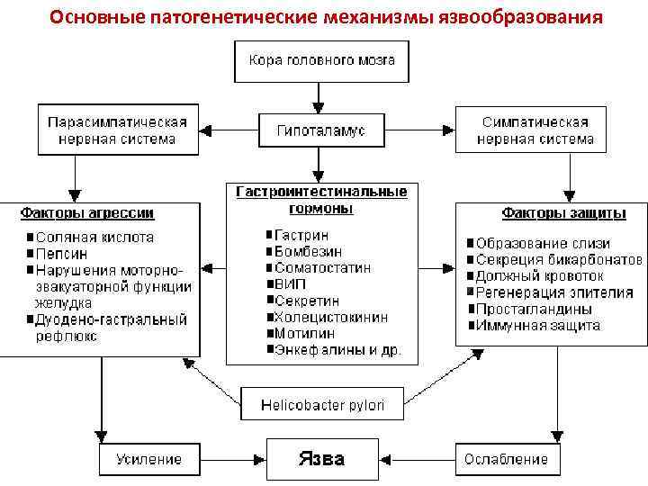 Основные патогенетические механизмы язвообразования 