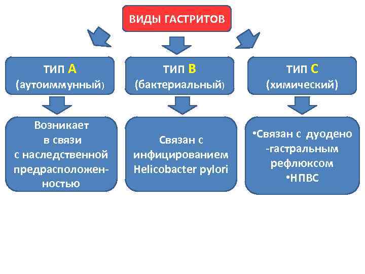 ВИДЫ ГАСТРИТОВ ТИП А (аутоиммунный) ТИП В (бактериальный) ТИП С (химический) Возникает в связи