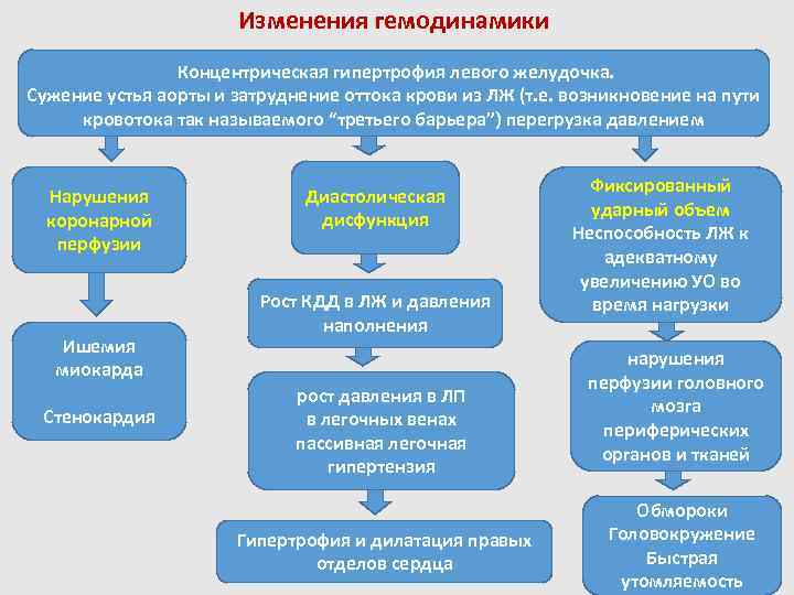 Изменения гемодинамики Концентрическая гипертрофия левого желудочка. Сужение устья аорты и затруднение оттока крови из