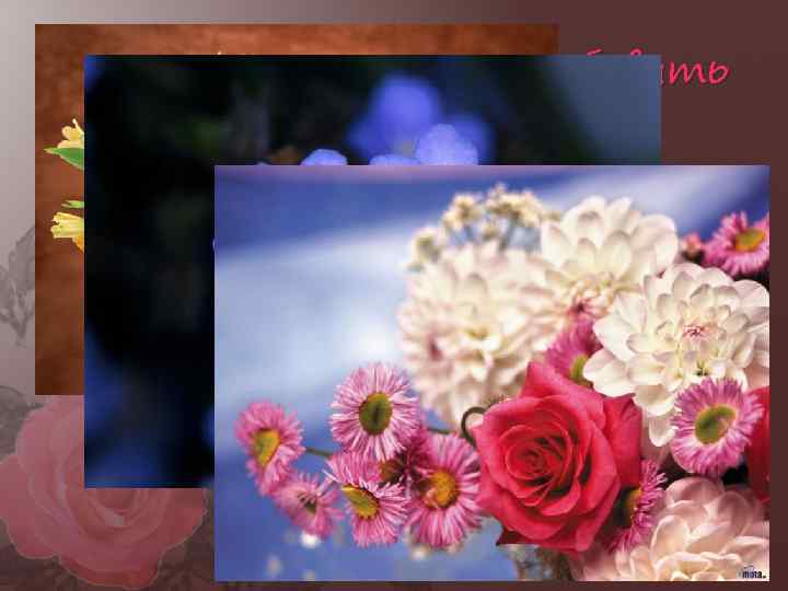 В заключение хочется добавить 