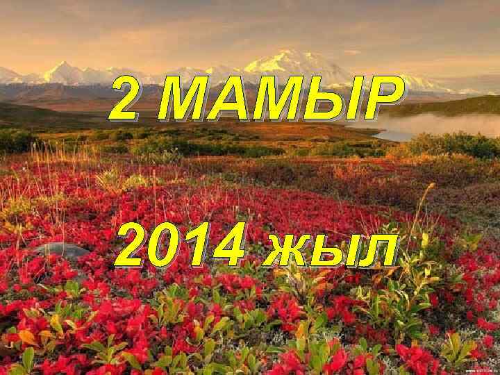 2 МАМЫР 2014 жыл 
