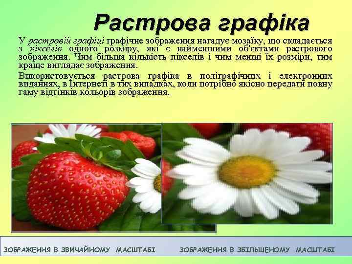 Растрова графіка У растровій графіці графічне зображення нагадує мозаїку, що складається з пікселів одного