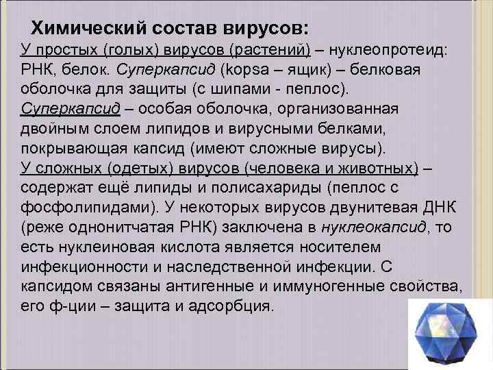 Химический состав вирусов: У простых (голых) вирусов (растений) – нуклеопротеид: РНК, белок. Суперкапсид (kopsa