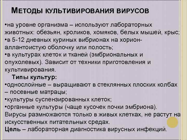 МЕТОДЫ КУЛЬТИВИРОВАНИЯ ВИРУСОВ • на уровне организма – используют лабораторных животных: обезьян, кроликов, хомяков,