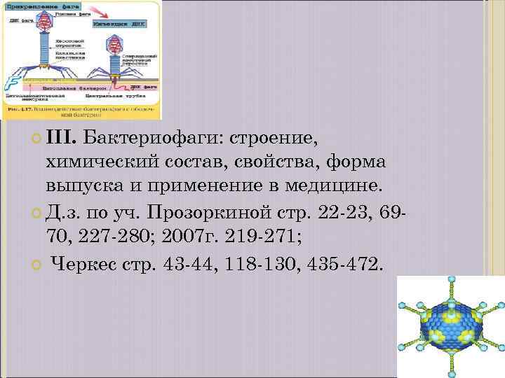 Бактериофаги: строение, химический состав, свойства, форма выпуска и применение в медицине. Д. з. по