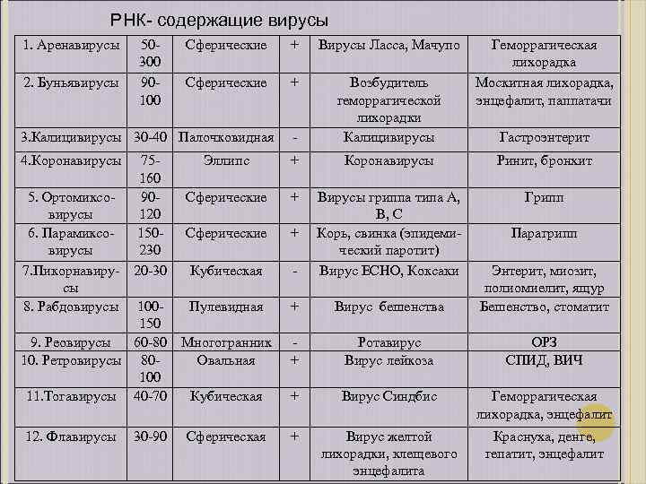 РНК- содержащие вирусы 1. Аренавирусы 2. Буньявирусы 50300 90100 Сферические + Вирусы Ласса, Мачупо