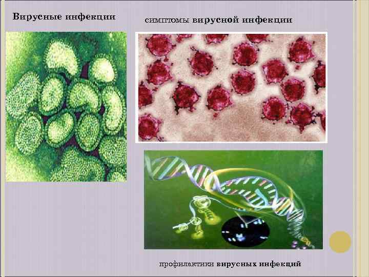 Горло при вирусной инфекции фото