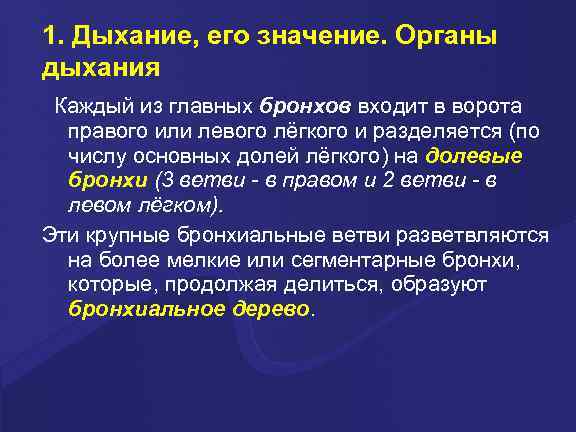 1. Дыхание, его значение. Органы дыхания Каждый из главных бронхов входит в ворота правого