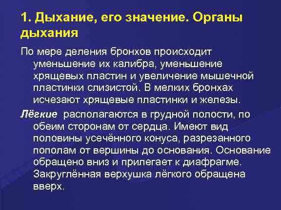 1. Дыхание, его значение. Органы дыхания По мере деления бронхов происходит уменьшение их калибра,