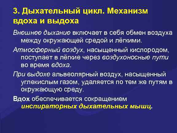 3. Дыхательный цикл. Механизм вдоха и выдоха Внешнее дыхание включает в себя обмен воздуха