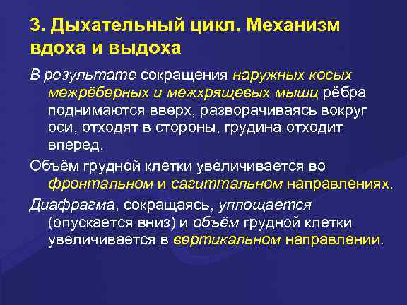 3. Дыхательный цикл. Механизм вдоха и выдоха В результате сокращения наружных косых межрёберных и