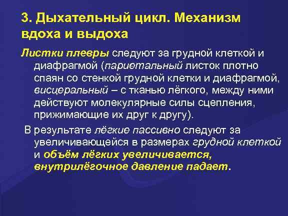 3. Дыхательный цикл. Механизм вдоха и выдоха Листки плевры следуют за грудной клеткой и