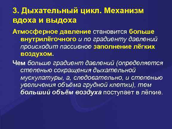 3. Дыхательный цикл. Механизм вдоха и выдоха Атмосферное давление становится больше внутрилёгочного и по