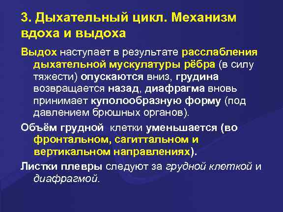 3. Дыхательный цикл. Механизм вдоха и выдоха Выдох наступает в результате расслабления дыхательной мускулатуры