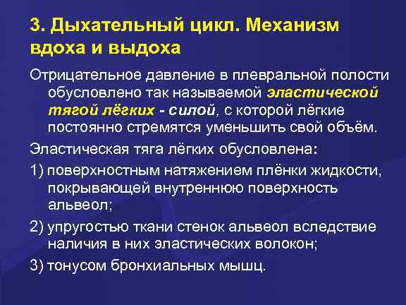 3. Дыхательный цикл. Механизм вдоха и выдоха Отрицательное давление в плевральной полости обусловлено так