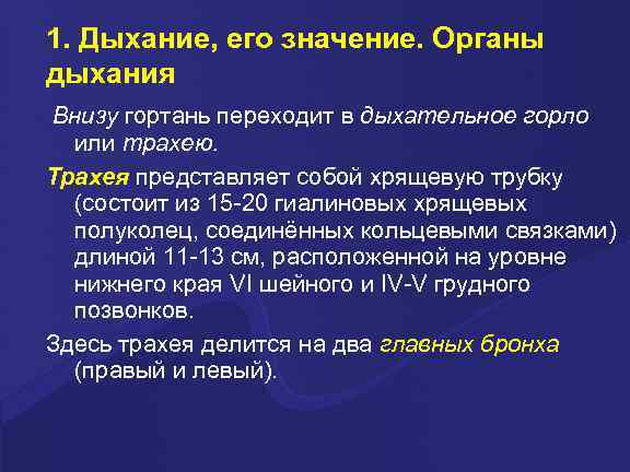 1. Дыхание, его значение. Органы дыхания Внизу гортань переходит в дыхательное горло или трахею.