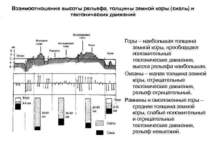 Взаимоотношение высоты рельефа, толщины земной коры (сиаль) и тектонических движений Горы – наибольшая толщина