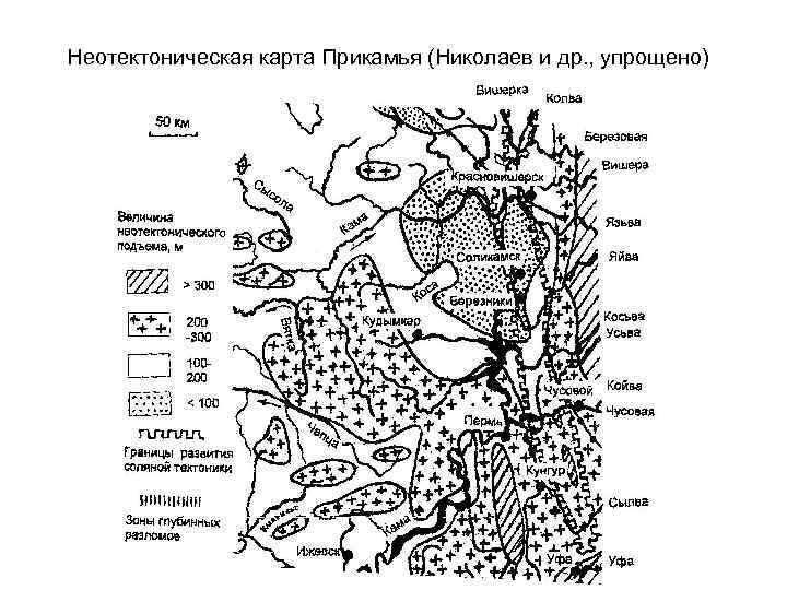 Неотектоническая карта Прикамья (Николаев и др. , упрощено) 