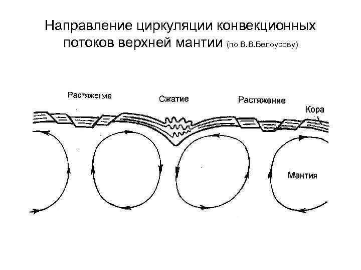 Направление циркуляции конвекционных потоков верхней мантии (по В. В. Белоусову) 