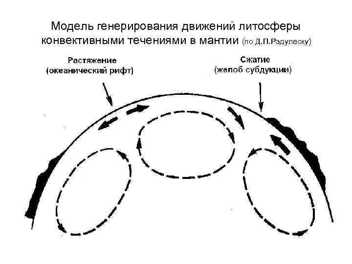 Модель генерирования движений литосферы конвективными течениями в мантии (по Д. П. Рэдулеску) 