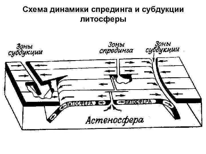 Схема динамики спрединга и субдукции литосферы 