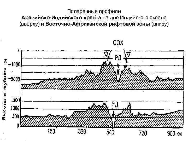 Поперечные профили Аравийско-Индийского хребта на дне Индийского океана (вверху) и Восточно-Африканской рифтовой зоны (внизу)