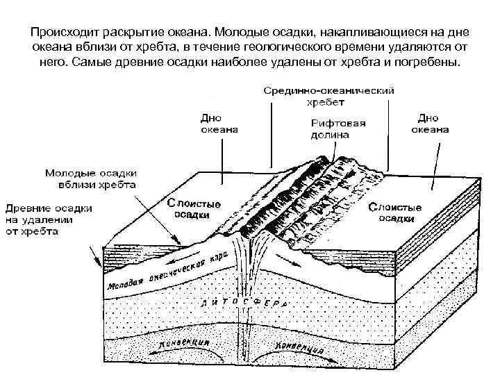 Литосфера состоит из земной коры