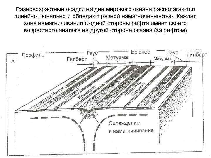 Разновозрастные осадки на дне мирового океана располагаются линейно, зонально и обладают разной намагниченностью. Каждая