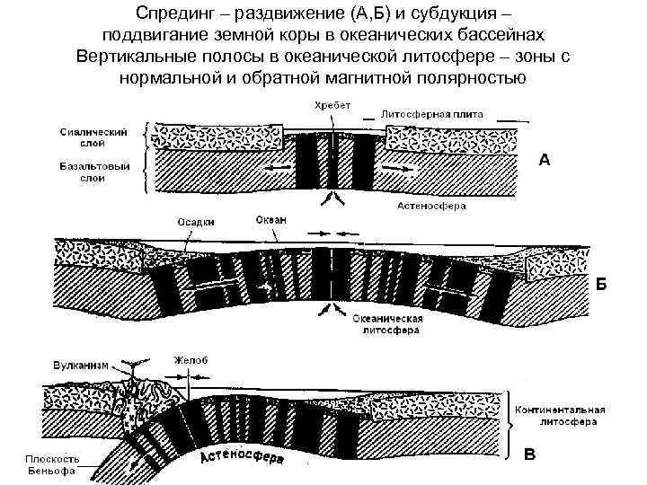 В океанической земной коре отсутствует базальтовый слой