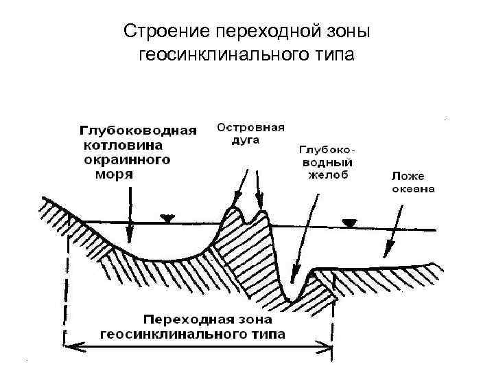 Геосинклиналь. Строение переходной зоны геосинклинального типа. Строение геосинклиналей. Геосинклинальный прогиб. Переходная зона океана.