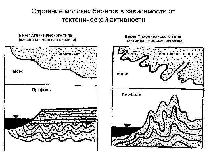 Берег схема. Строение морского берега. Строение моря. Строение морского побережья. Типы морских берегов.