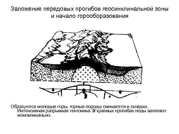 Заложение передовых прогибов геосинклинальной зоны и начало горооборазования Образуются молодые горы, горные породы сминаются