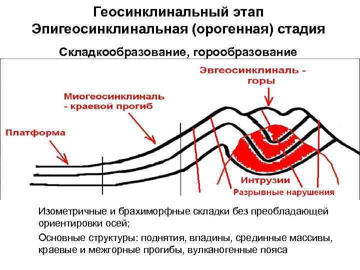 Геосинклиналь. Геосинклинальный этап. Строение геосинклиналей. Геосинклинальный прогиб. Миогеосинклинальный прогиб.