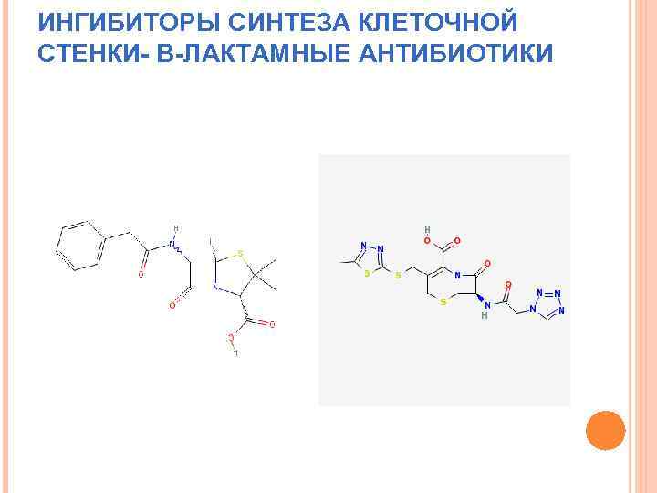 ИНГИБИТОРЫ СИНТЕЗА КЛЕТОЧНОЙ СТЕНКИ- В-ЛАКТАМНЫЕ АНТИБИОТИКИ 