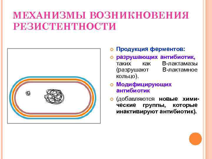 МЕХАНИЗМЫ ВОЗНИКНОВЕНИЯ РЕЗИСТЕНТНОСТИ Продукция ферментов: разрушающих антибиотик, таких как B-лактамазы (разрушают В-лактамное кольцо). Модифицирующих