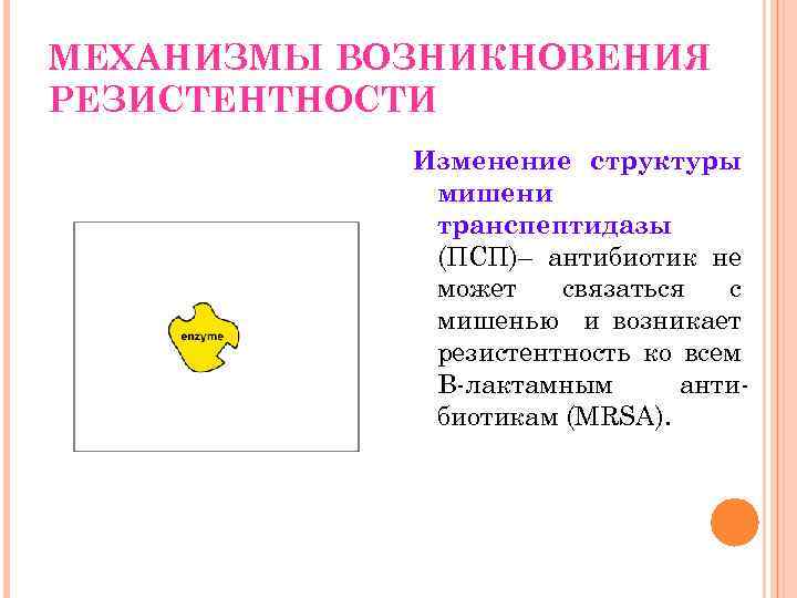 МЕХАНИЗМЫ ВОЗНИКНОВЕНИЯ РЕЗИСТЕНТНОСТИ Изменение структуры мишени транспептидазы (ПСП)– антибиотик не может связаться с мишенью