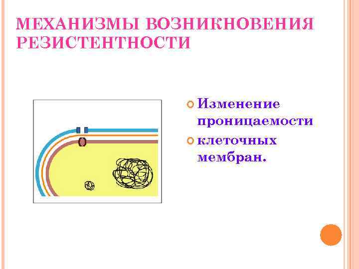 МЕХАНИЗМЫ ВОЗНИКНОВЕНИЯ РЕЗИСТЕНТНОСТИ Изменение проницаемости клеточных мембран. 