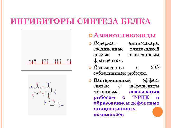 ИНГИБИТОРЫ СИНТЕЗА БЕЛКА Аминогликозиды Содержат аминосахара, соединенные гликозидной связью с агликановым фрагментом. Связываются с