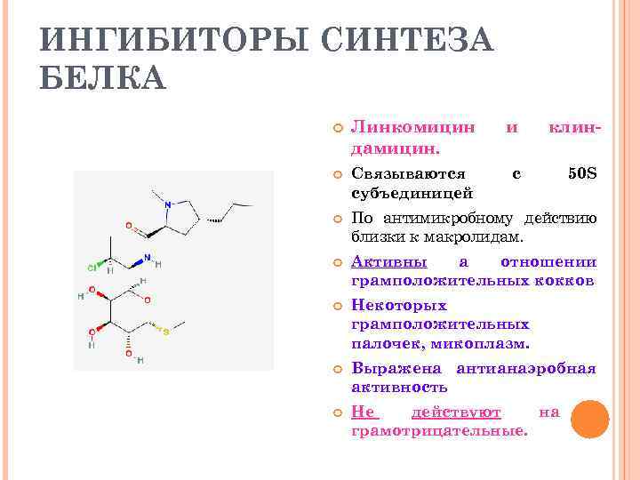 ИНГИБИТОРЫ СИНТЕЗА БЕЛКА Линкомицин дамицин. и клин- Связываются субъединицей с 50 S По антимикробному