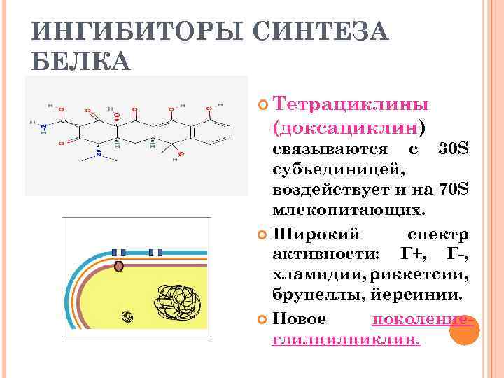ИНГИБИТОРЫ СИНТЕЗА БЕЛКА Тетрациклины (доксациклин) связываются с 30 S субъединицей, воздействует и на 70