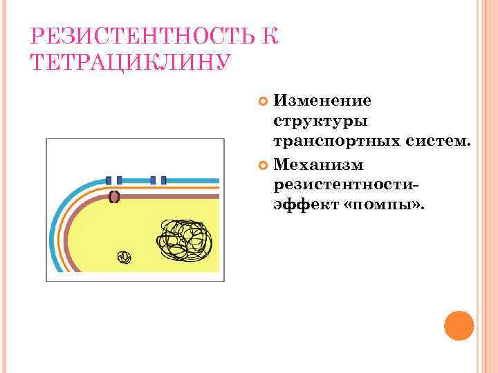 РЕЗИСТЕНТНОСТЬ К ТЕТРАЦИКЛИНУ Изменение структуры транспортных систем. Механизм резистентностиэффект «помпы» . 