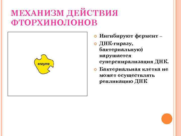 МЕХАНИЗМ ДЕЙСТВИЯ ФТОРХИНОЛОНОВ Ингибируют фермент – ДНК-гиразу, бактериальную) нарушается суперспирализация ДНК. Бактериальная клетка не