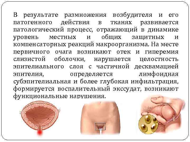 В результате размножения возбудителя и его патогенного действия в тканях развивается патологический процесс, отражающий