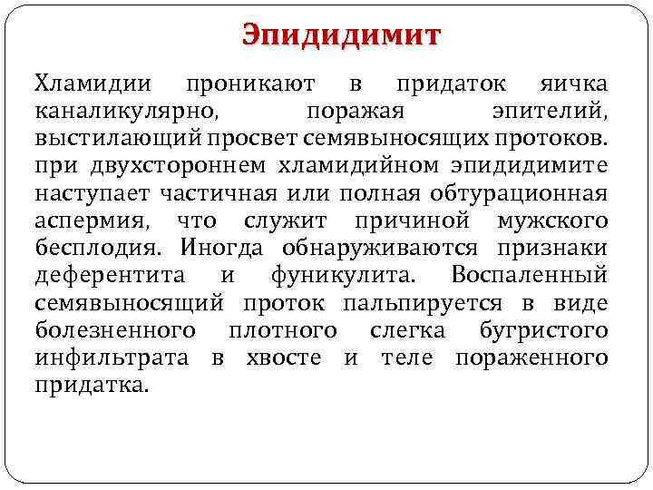 Эпидидимит Хламидии проникают в придаток яичка каналикулярно, поражая эпителий, выстилающий просвет семявыносящих протоков. при