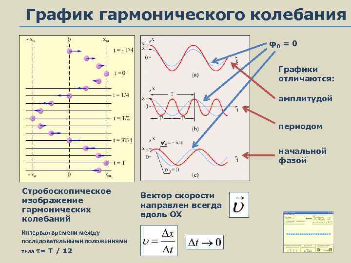 Амплитуда гармонических колебаний. График колебания физика построение. Фаза колебаний на графиках. График колебаний как строить. График скорости гармонических колебаний.