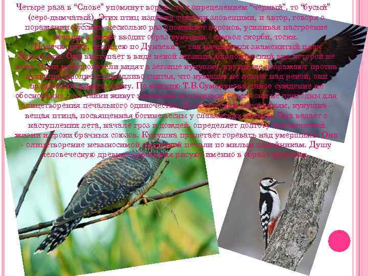 Четыре раза в “Слове” упомянут ворон - то с определением “черный”, то “бусый” (серо-дымчатый).